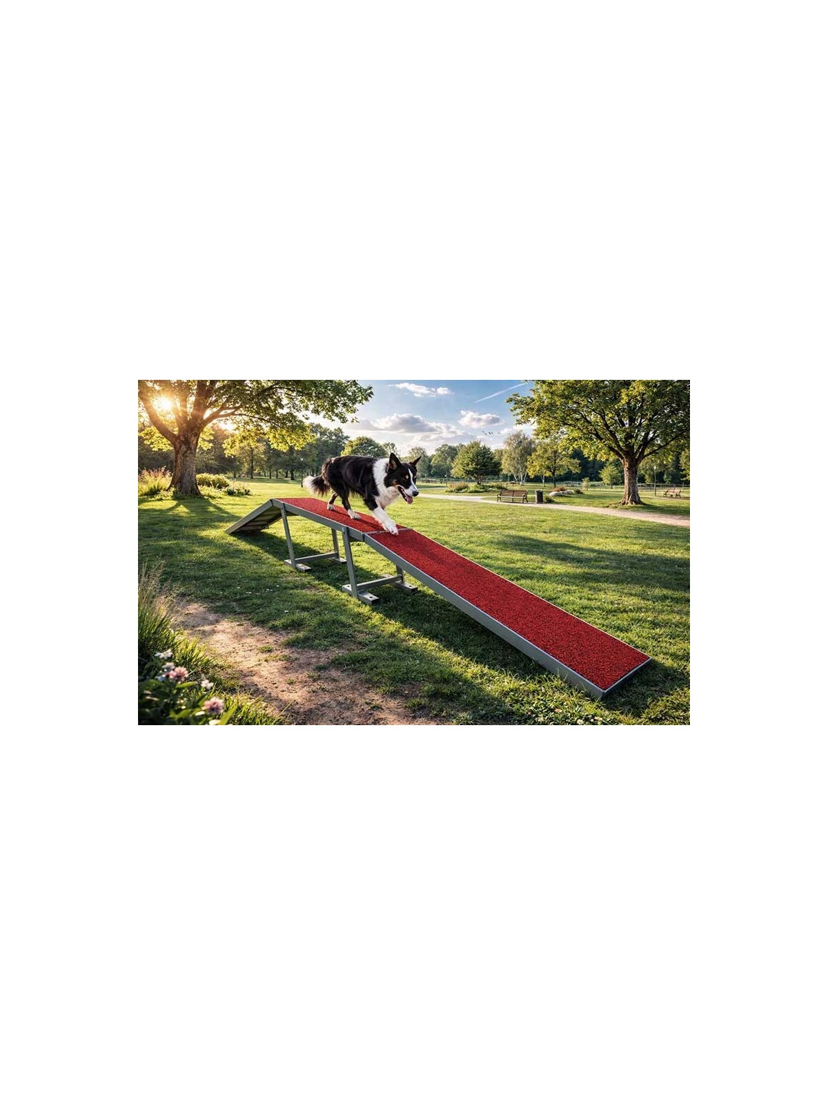 MODULE LA PASSERELLE GAMME DOGGYPARC
