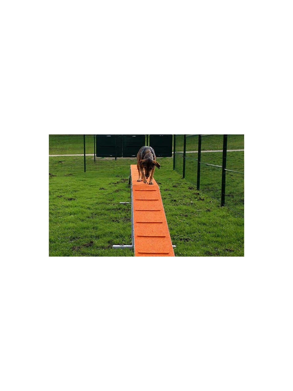 MODULE LA PASSERELLE GAMME DOGGYPARC