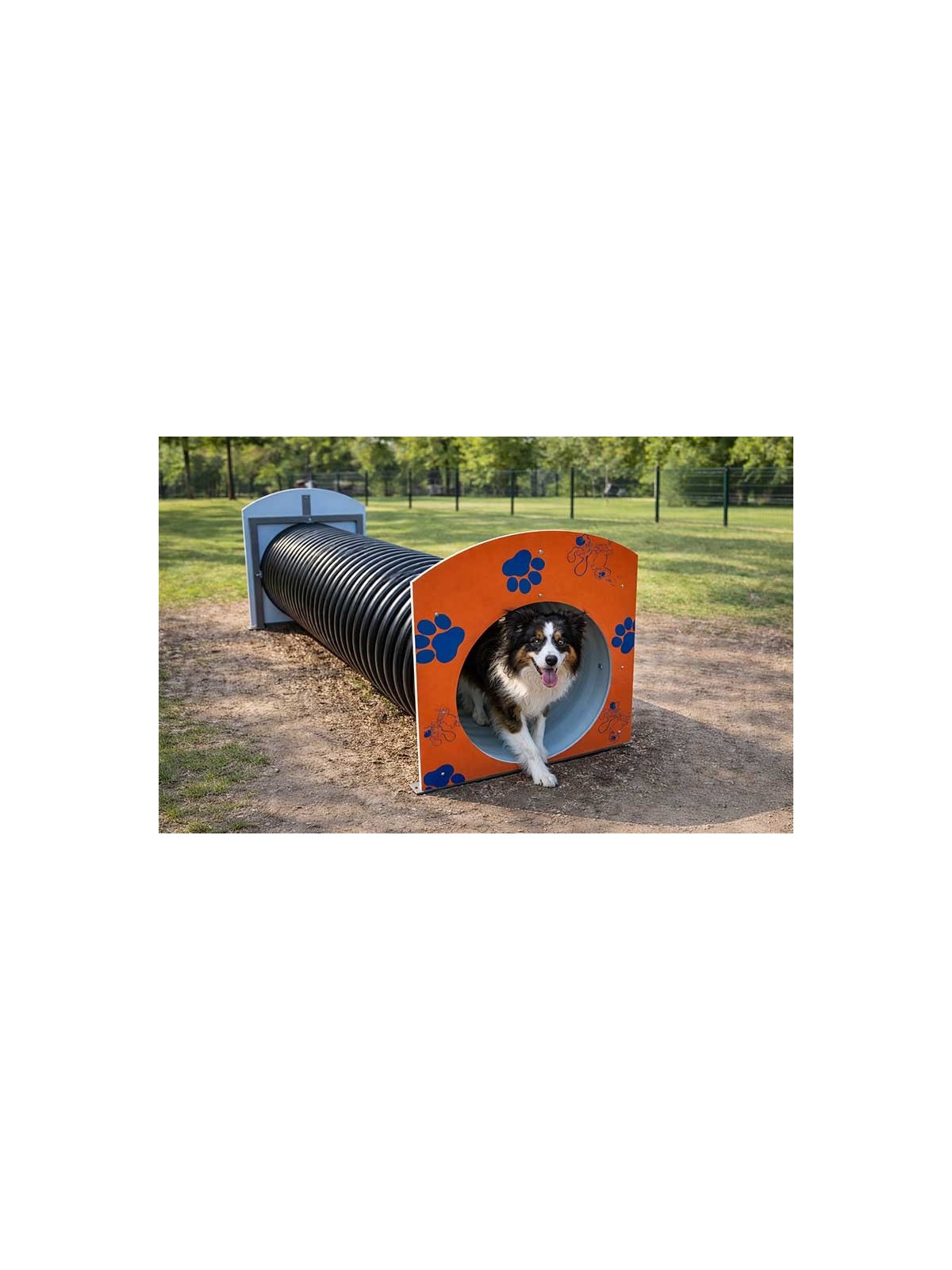 MODULE TUNNEL GAMME DOGGYPARC