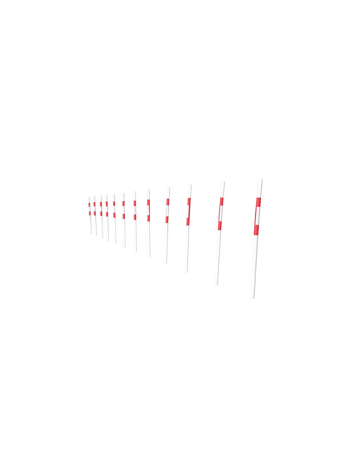 MODULE LE SLALOM  GAMME DOGGYPARC
