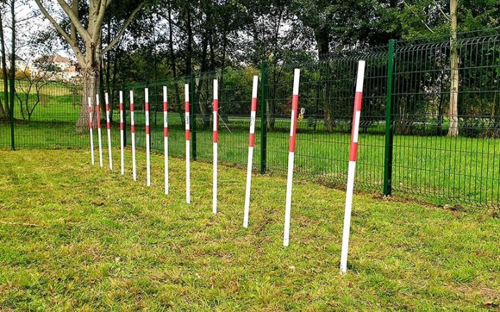 MODULE LE SLALOM  GAMME DOGGYPARC