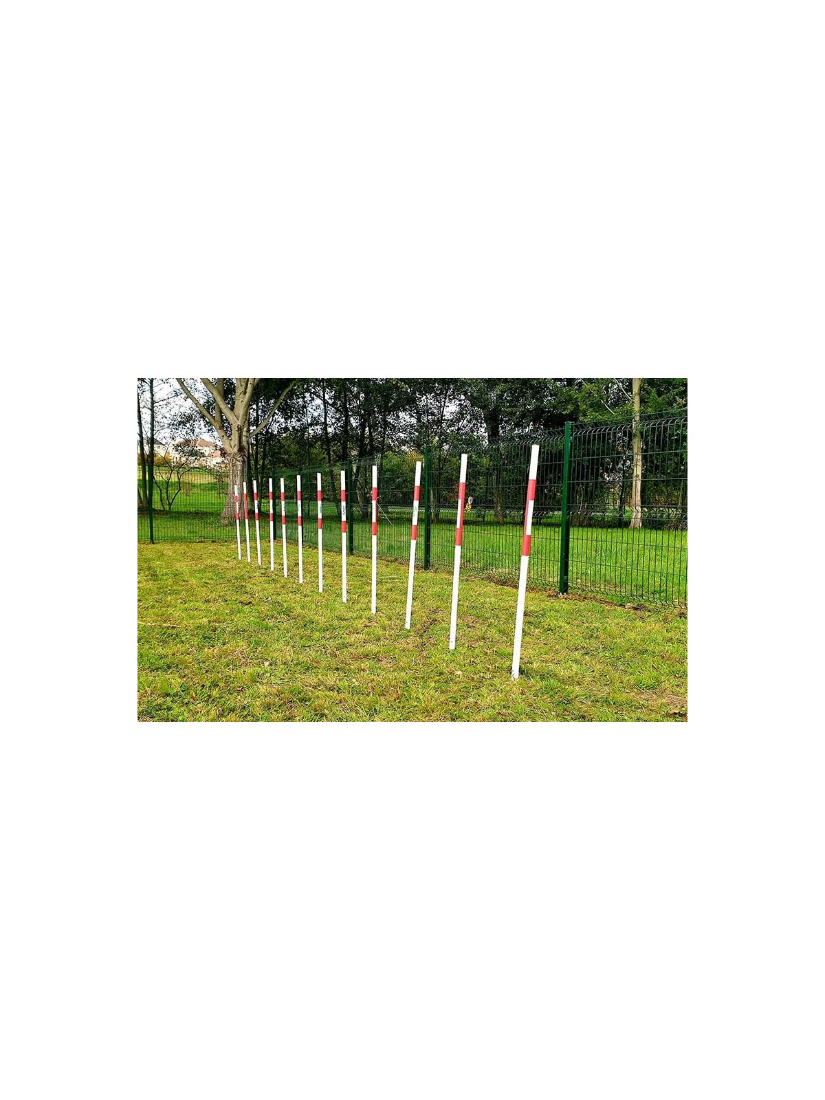 MODULE LE SLALOM  GAMME DOGGYPARC