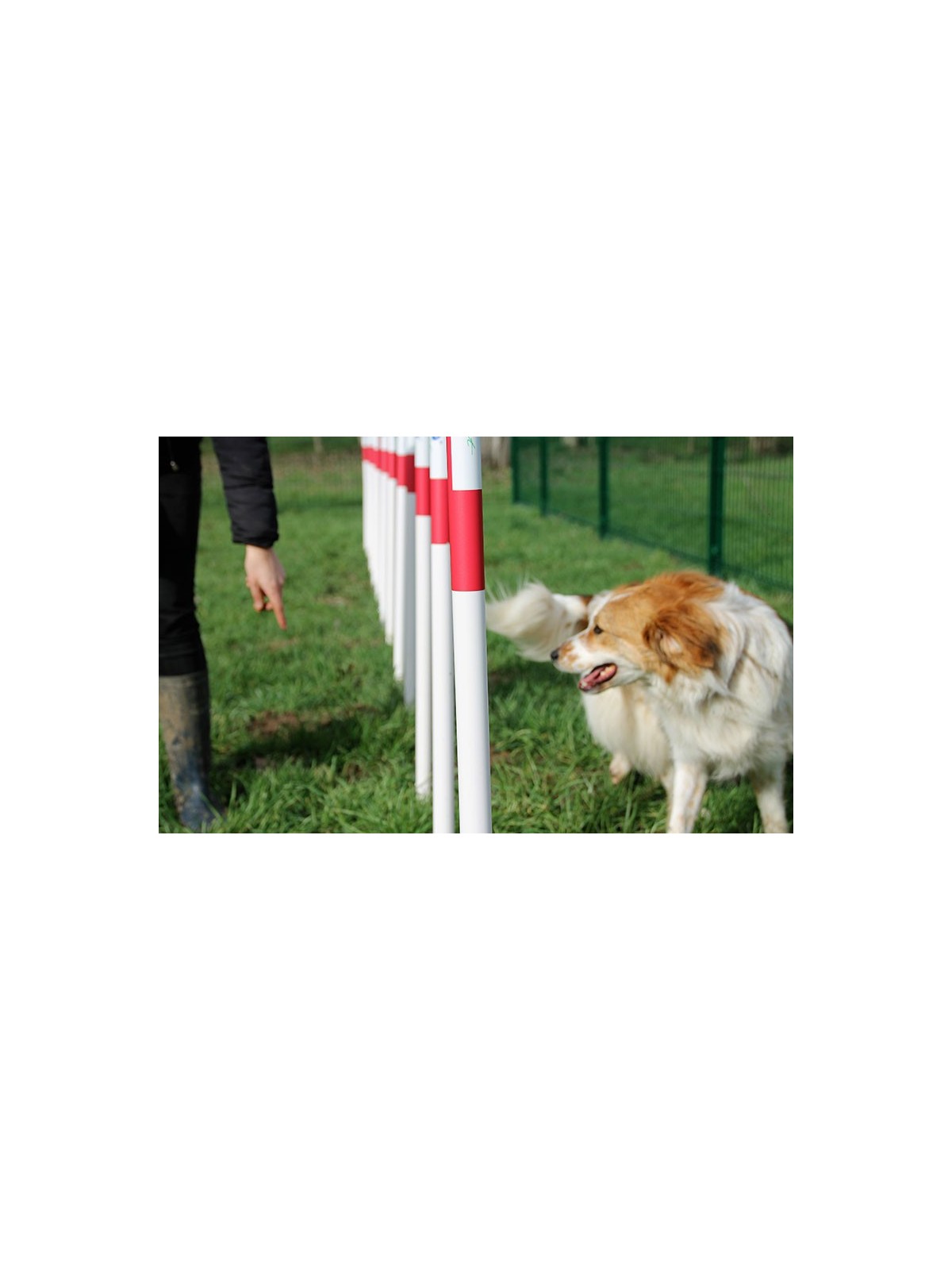 MODULE LE SLALOM  GAMME DOGGYPARC