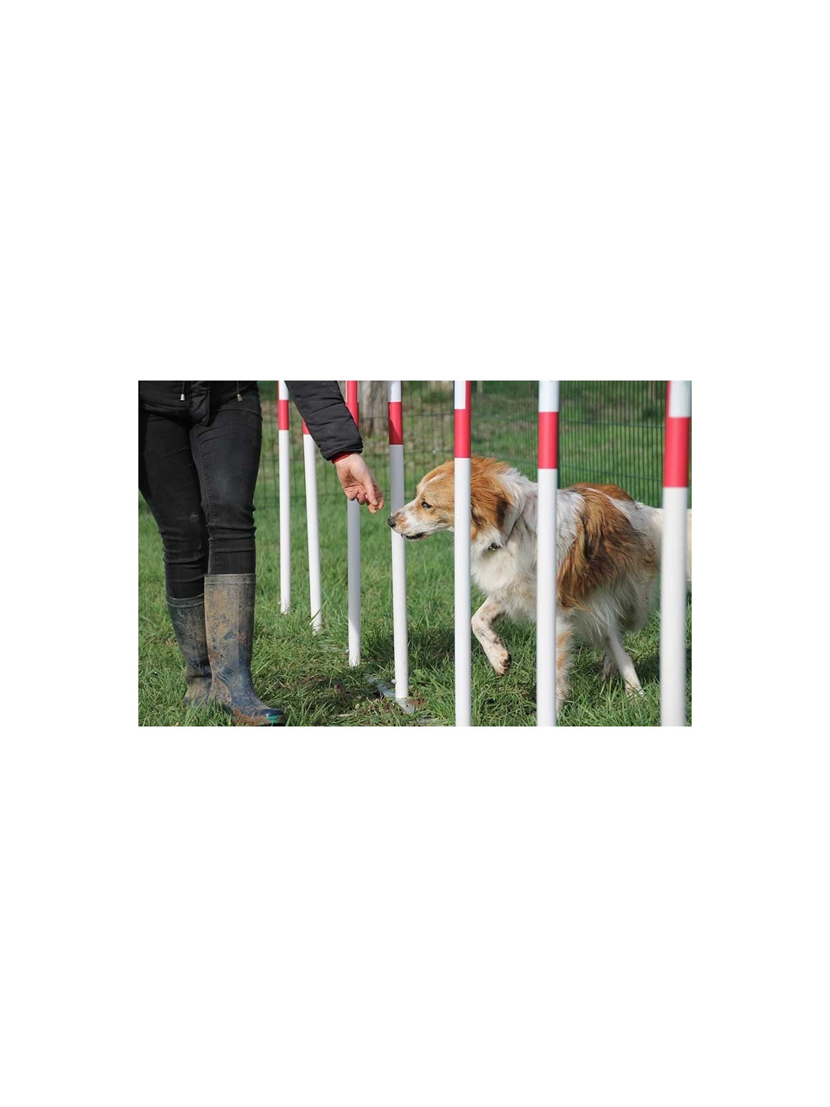 MODULE LE SLALOM  GAMME DOGGYPARC