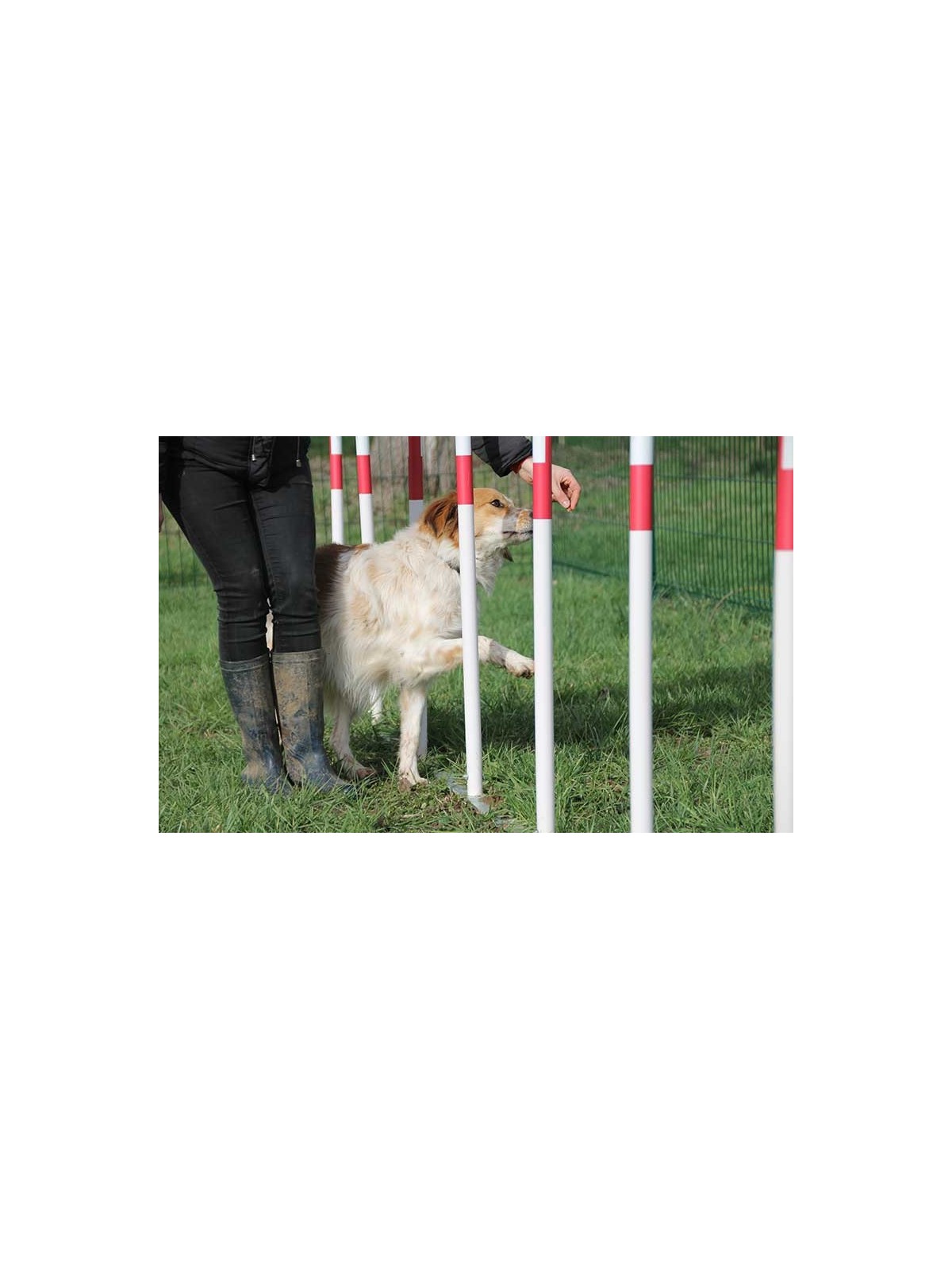 MODULE LE SLALOM  GAMME DOGGYPARC