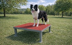MODULE LA TABLE GAMME DOGGYPARC