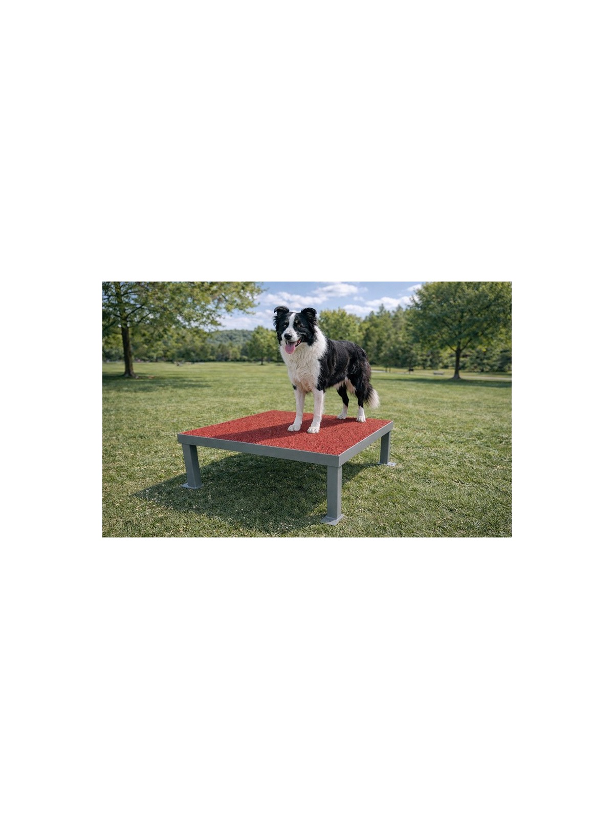 MODULE LA TABLE GAMME DOGGYPARC