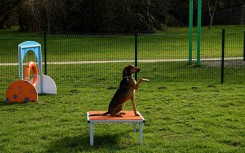 MODULE LA TABLE GAMME DOGGYPARC