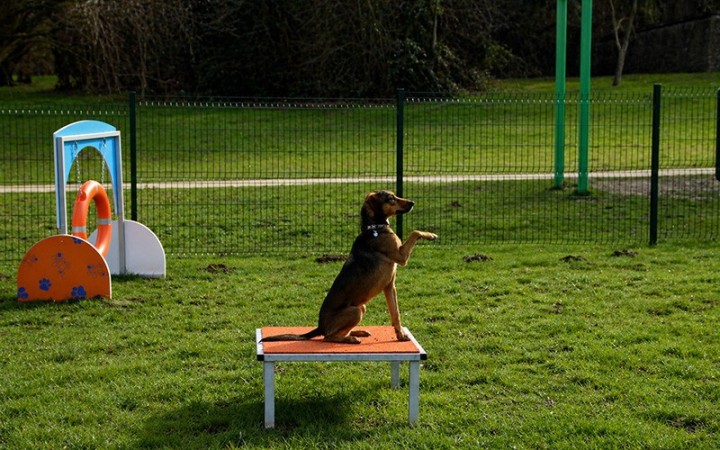 MODULE LA TABLE GAMME DOGGYPARC
