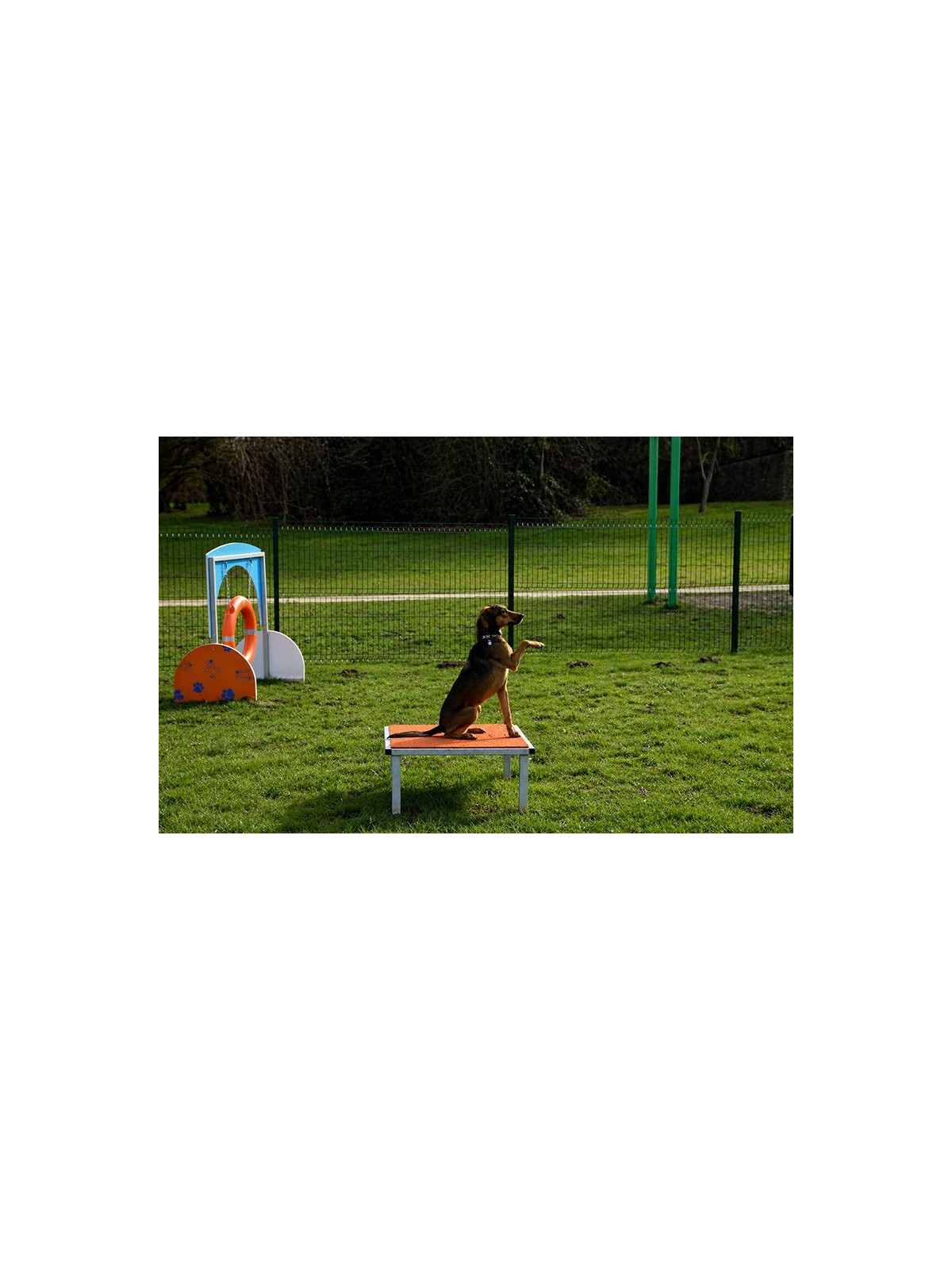MODULE LA TABLE GAMME DOGGYPARC