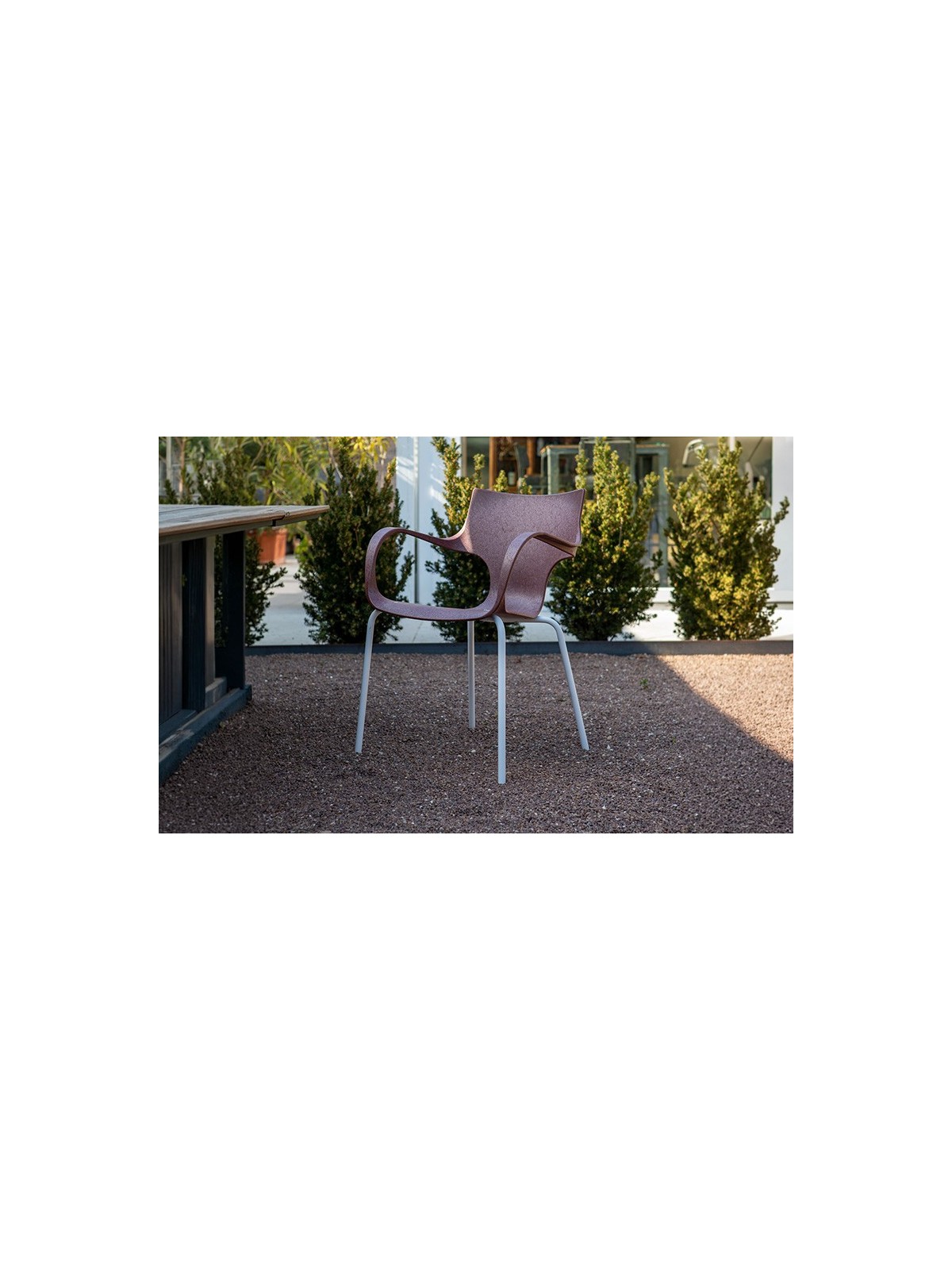 CHAISE STILFIBRA ERBI WINI – DESIGN ITALIEN, MARC DE RAISIN ET PIEDS ACIER