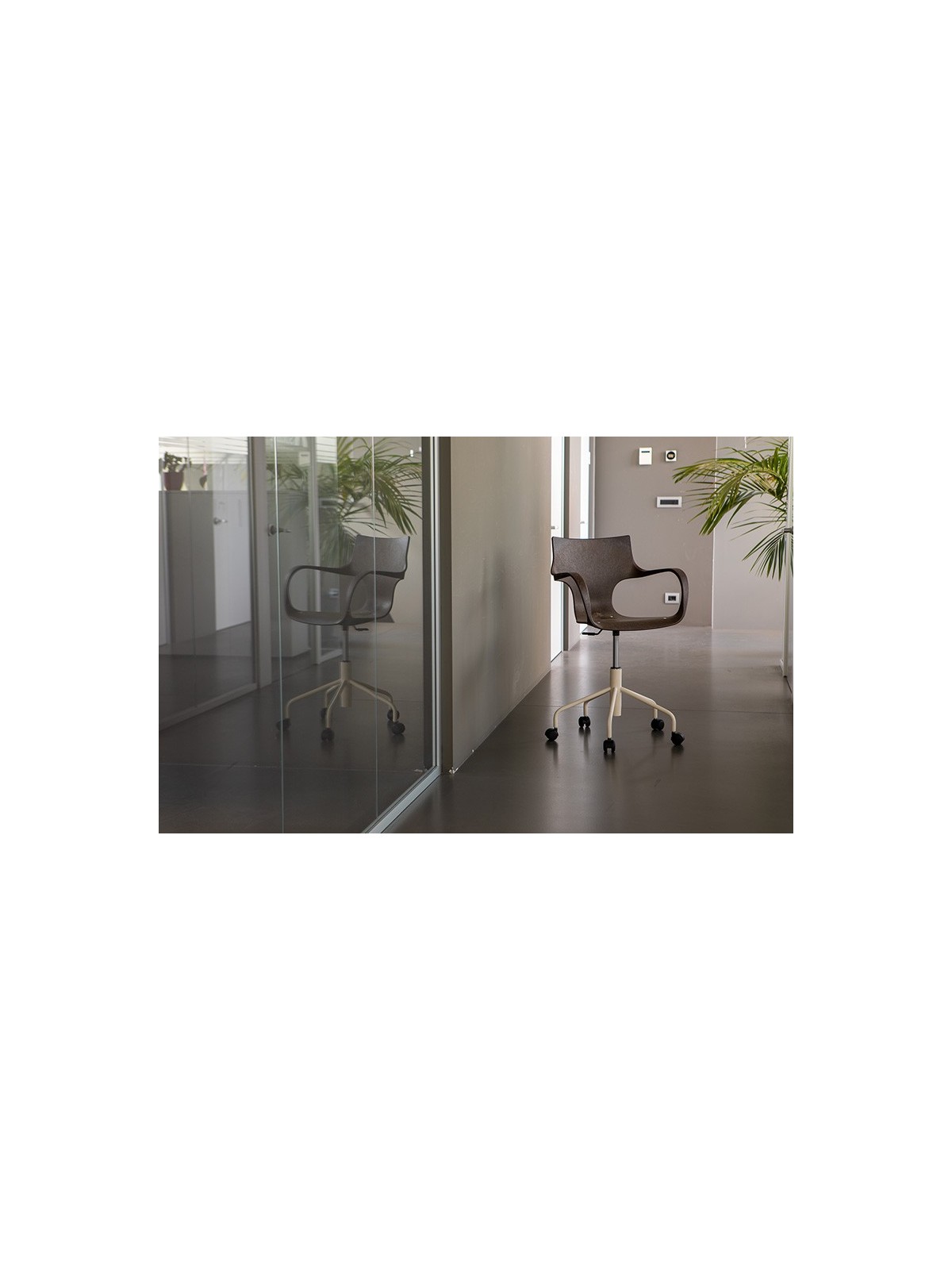 Chaise Erbi Moka en biocomposite végétal et PP régénéré, avec base à roulettes pour bureaux et espaces de travail