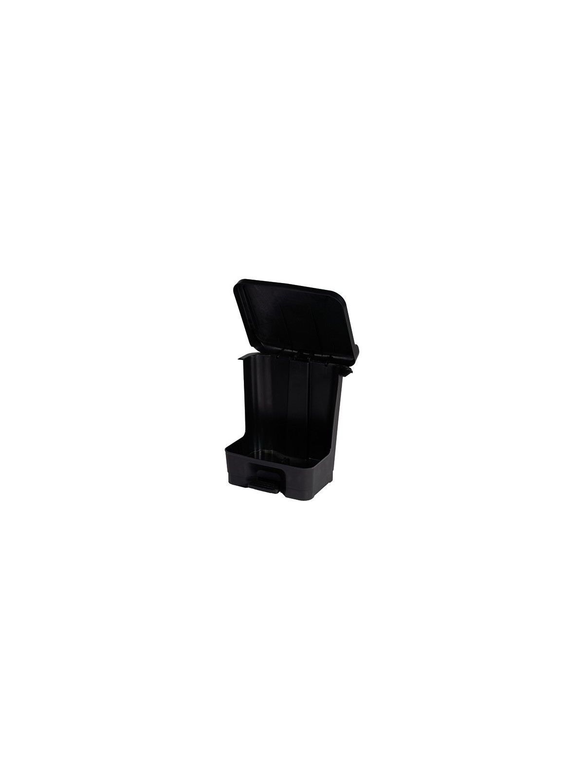 Poubelle 2 flux 20 L avec seaux amovibles pour recyclage