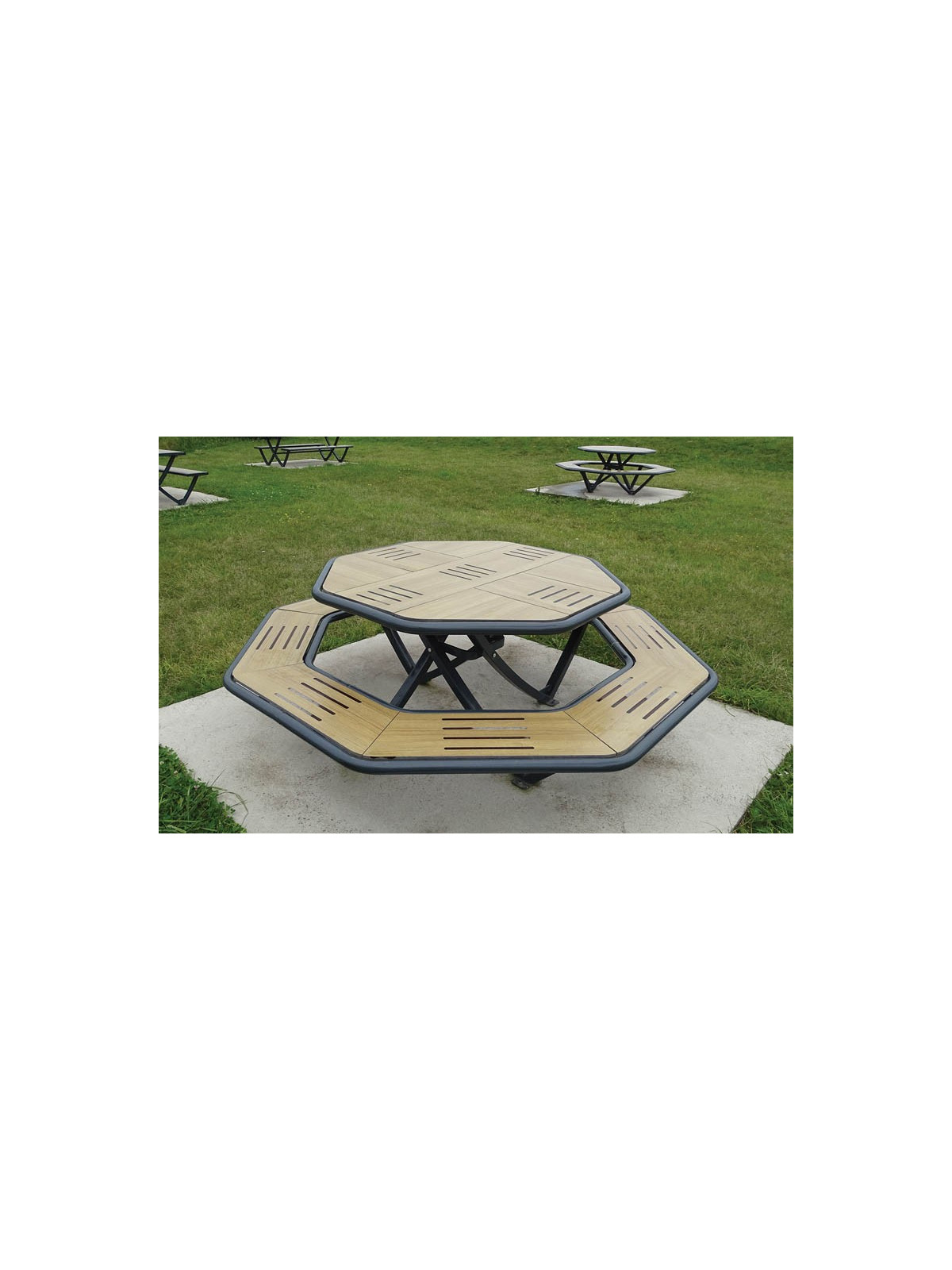 TABLE PIQUE NIQUE OCTOGONALE FABIO
TABLE PIQUE NIQUE EXTÉRIEUR ACIER ET COMPACT STRATIFIE
TABLE DESIGN ET MODERNE