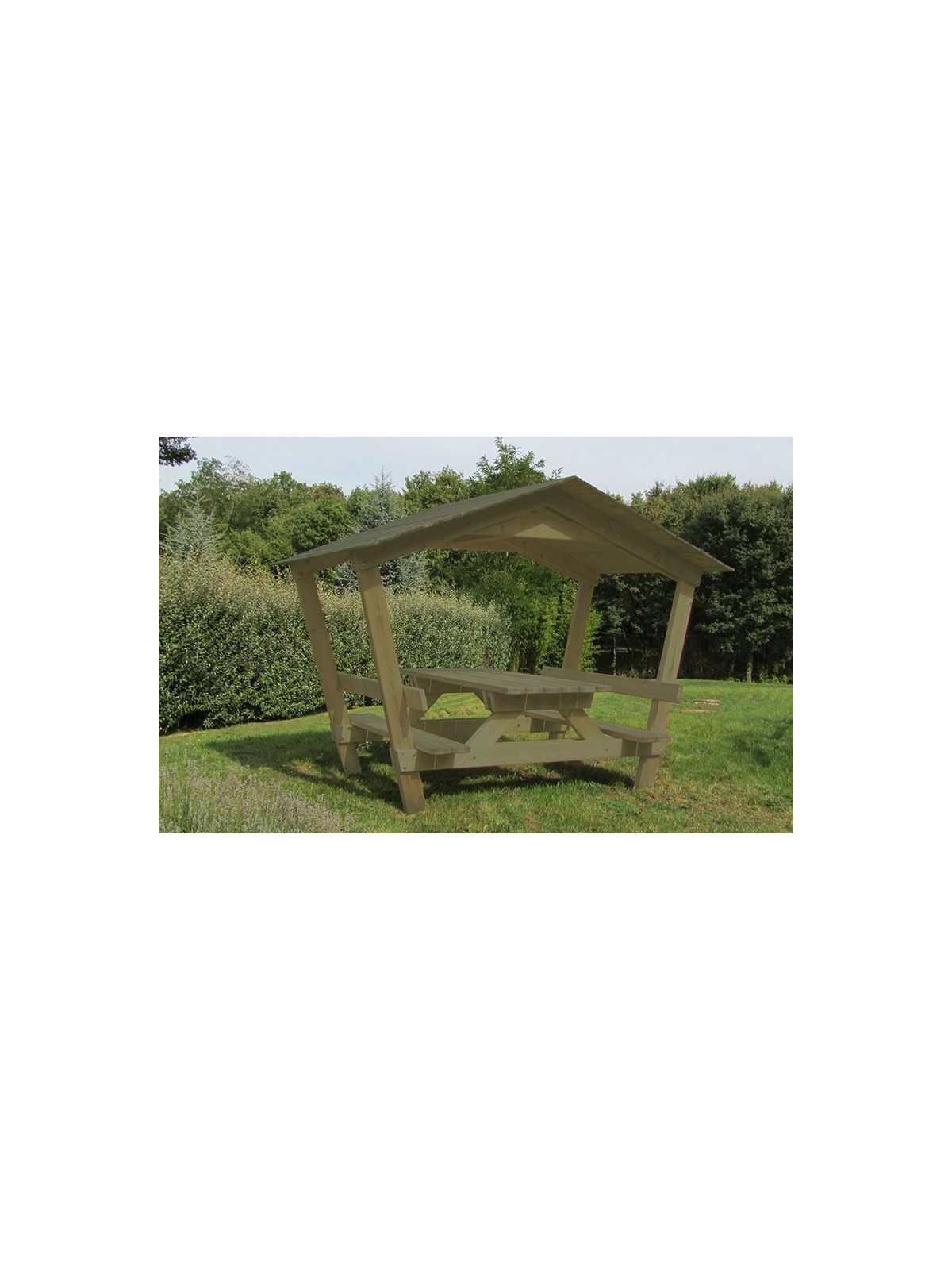 TABLE PIQUE NIQUE AVEC OMBRIERE