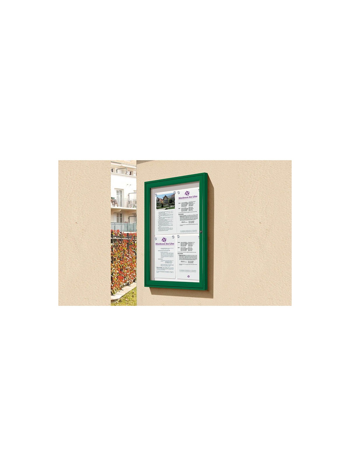 VITRINE TRADITION CADRE 30 mm PEINT RAL 6005 VERT