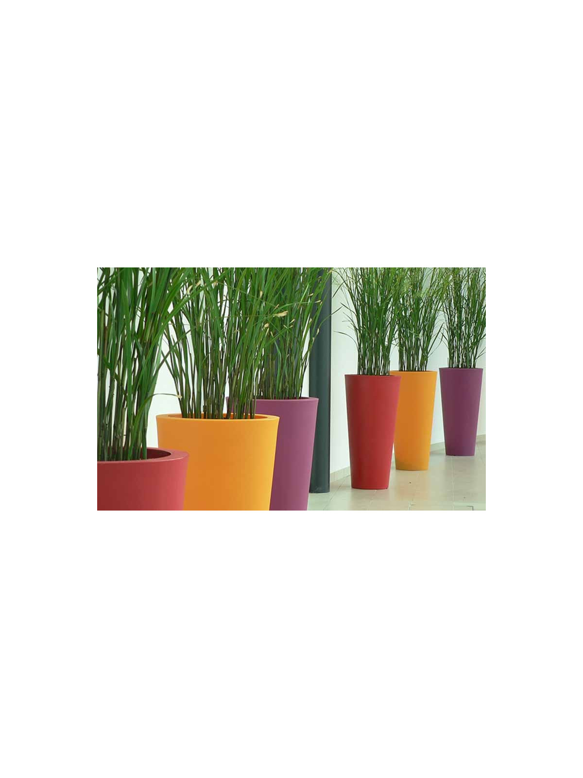 POT DESIGN ROND
JARDINIÈRE EN POLYÉTHYLÈNE POUR BUREAUX ET ENTREPRISE