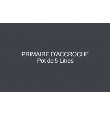 PRIMAIRE D'ACCROCHE