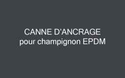 CANNE D'ANCRAGE A SCELLER POUR CHAMPIGNON