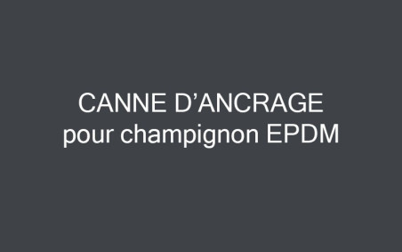 CANNE D'ANCRAGE A SCELLER POUR CHAMPIGNON