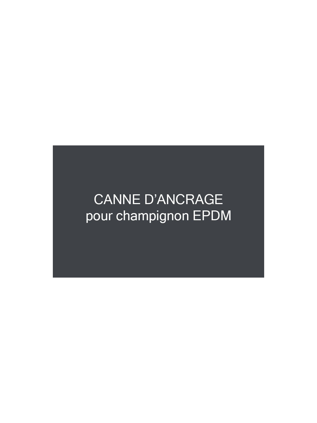 CANNE D'ANCRAGE A SCELLER POUR CHAMPIGNON