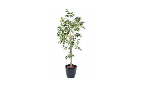 FICUS ARTIFICIEL HAUTEUR 1.50 m
