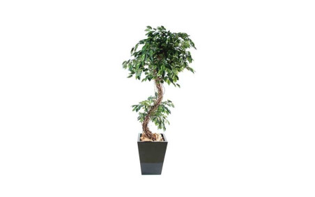 FICUS FORME "S" 1.80 m ARTIFICIEL