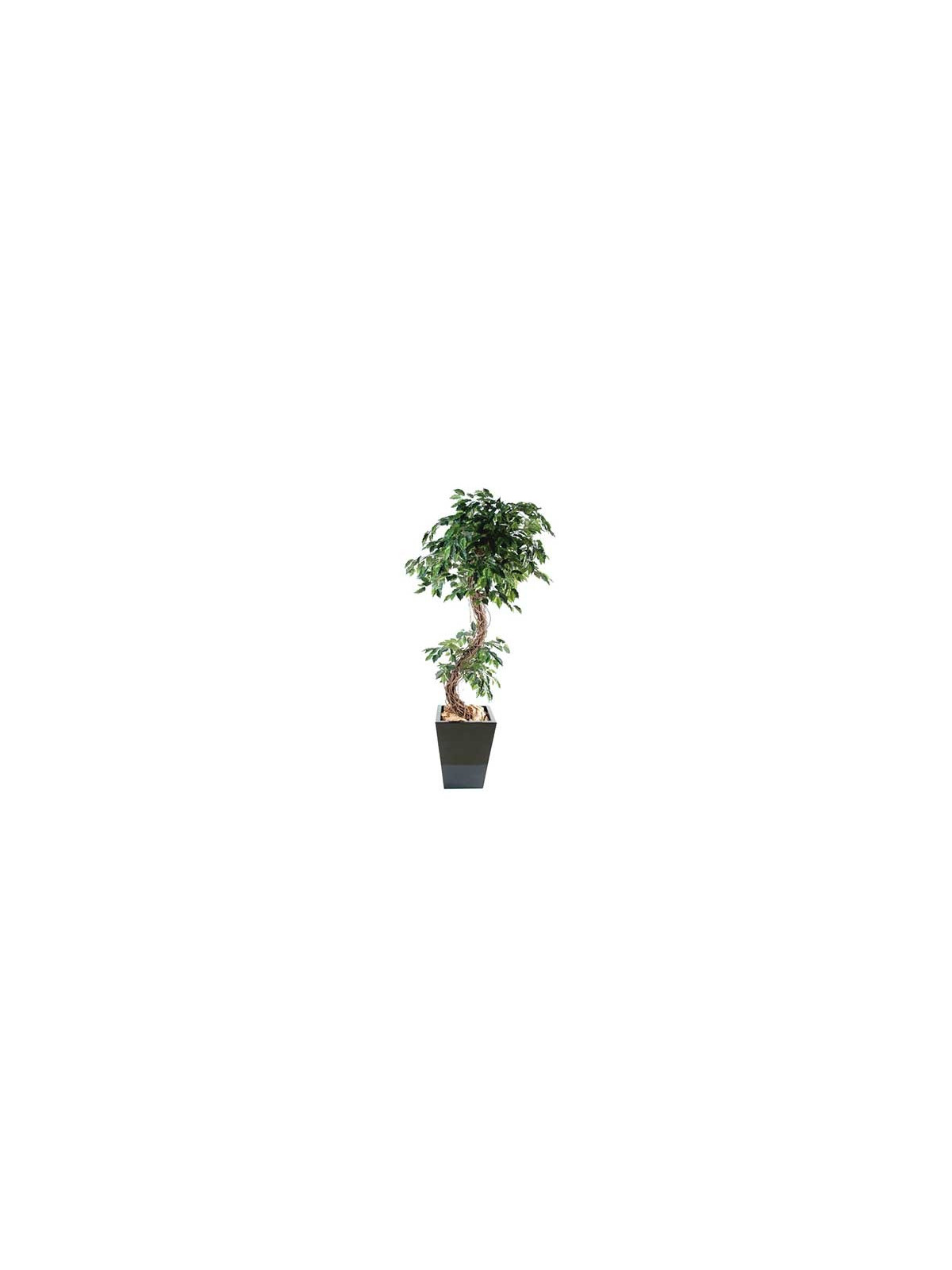 FICUS FORME "S" 1.80 m ARTIFICIEL