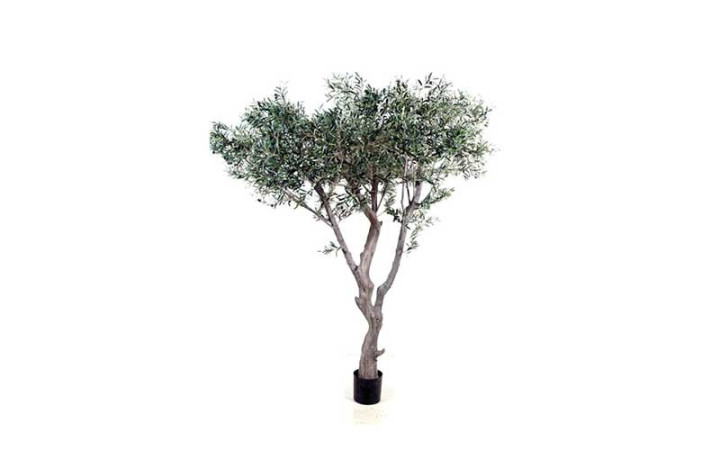 OLIVIER GÉANT ARTIFICIEL 2.4 M