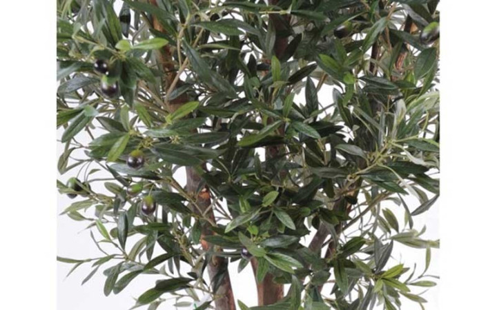 OLIVIER BUISSON ARTIFICIEL