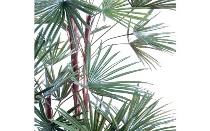 PALMIER LIVISTONIA ARTIFICIEL