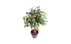 ORANGER ARTIFICIEL TÊTE 14 FRUITS