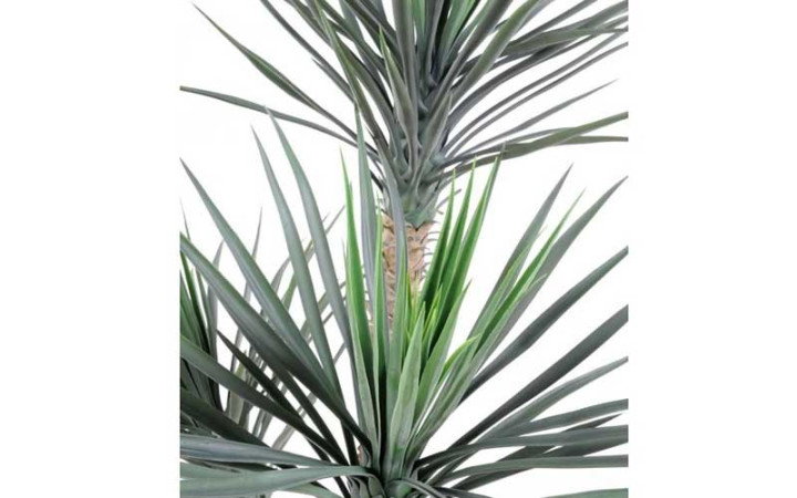 YUCCA ARTIFICIEL