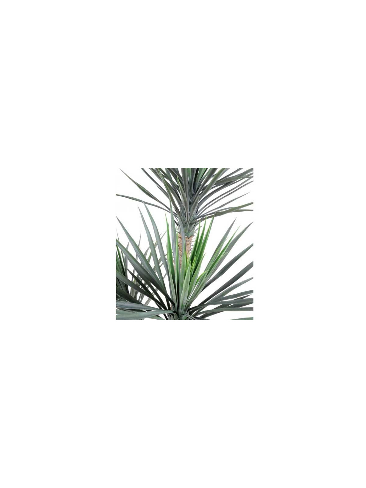 YUCCA ARTIFICIEL