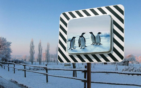 MIROIR RÉGLEMENTAIRE D’AGGLOMÉRATION ANTIGIVRE / ANTIBUÉE