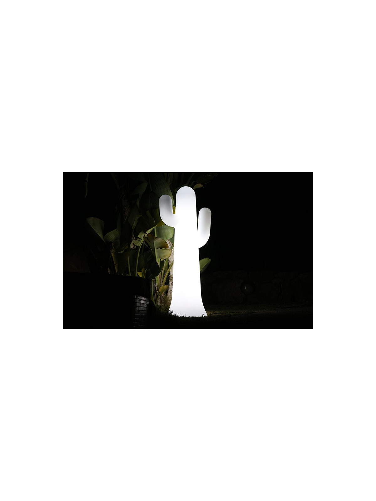 LAMPE CACTUS BLANC - CÂBLE