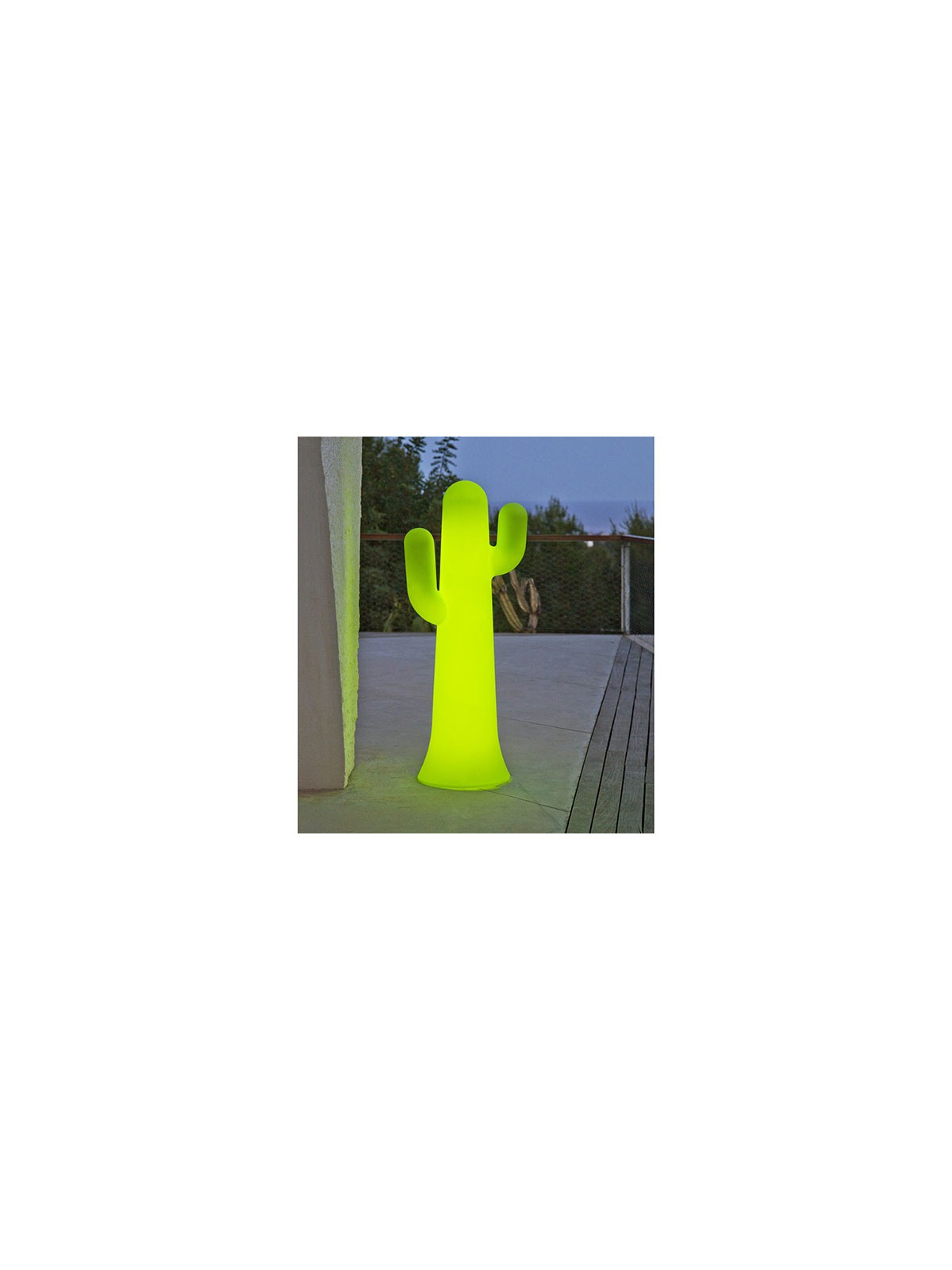 LAMPE CACTUS LED RGB  - BATTERIE