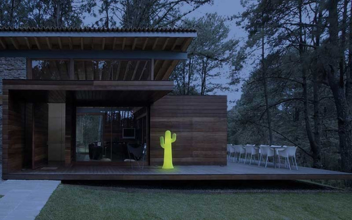 LAMPE CACTUS LED RGB  - BATTERIE